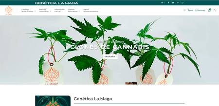 Genética La Maga